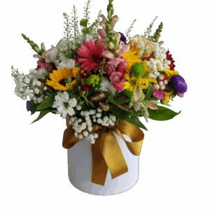 Bloom Box Flores do Campo